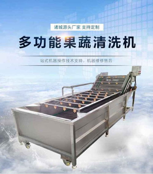 水果清洗设备 清洗设备 瑞和食品机械 查看