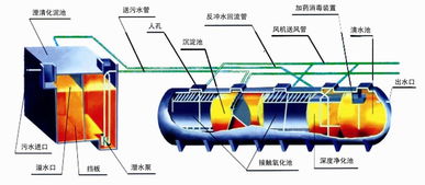 关于污水处理你必须知道的几点,干货分享