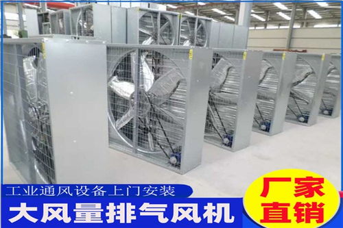 龙口市家用负压风机工业风扇生产厂家 金柚环保设备